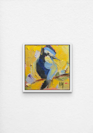 mr bluebird