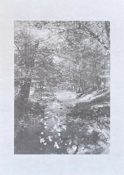 In the Streaming Light