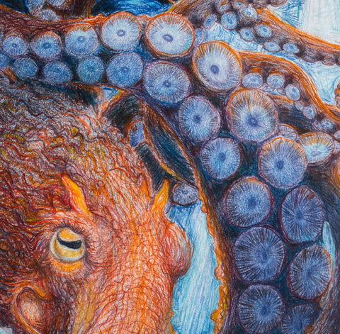 Octopus with Container Ship