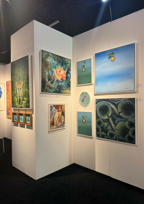 Hummingbird White Belly