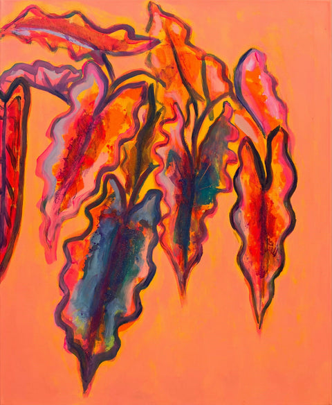 Alocasia Study 2