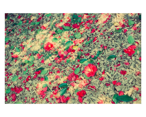 Forest Floor Flowers