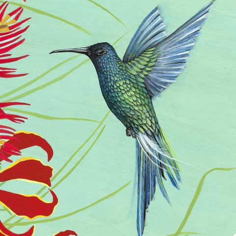 The Birds of Pipa 2 section 1