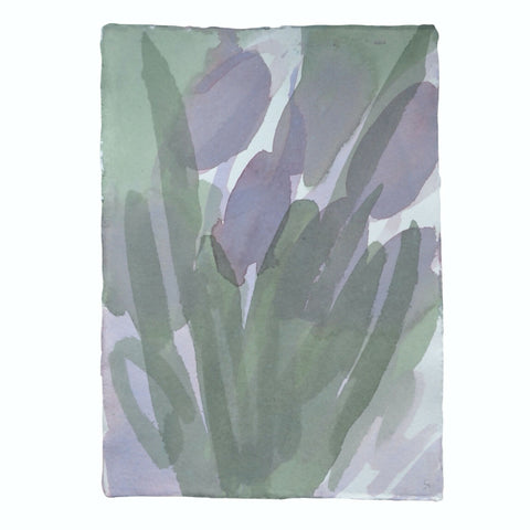 Tulips V
