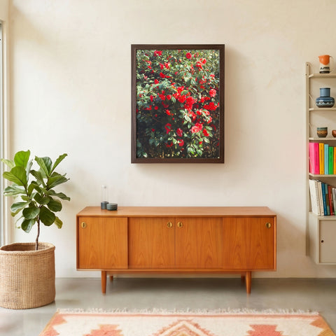 Greenwich Japanese Camellia