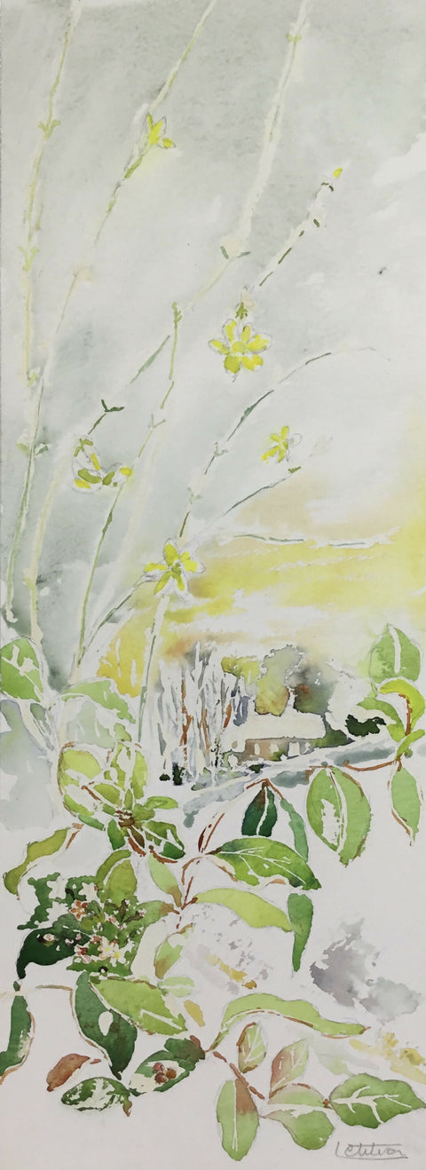 Winter - Winter Jasmine
