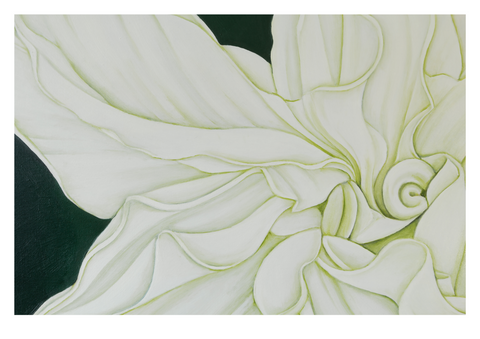 Geometry in Nature 4 - Madonna Roselily Print