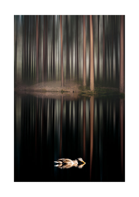 DSC_1557-Bearbeitet-Bearbeitet