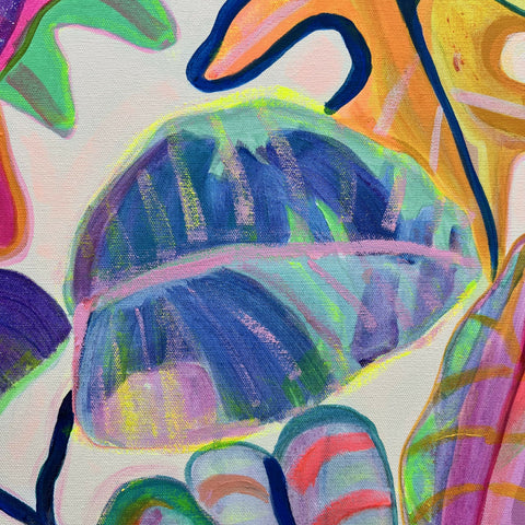 Alocasia Revelation