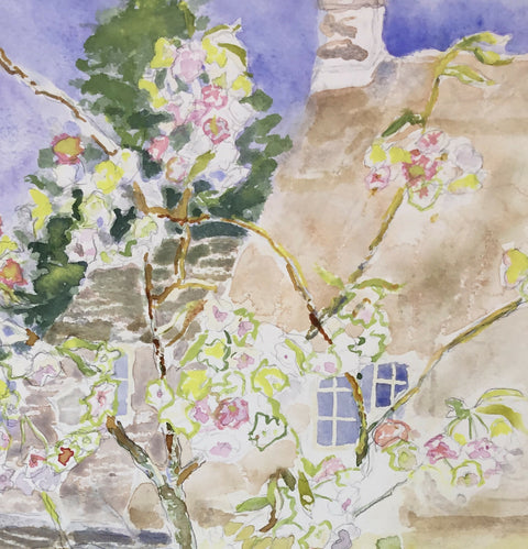 Flowering Cherry - Fragrant Cloud