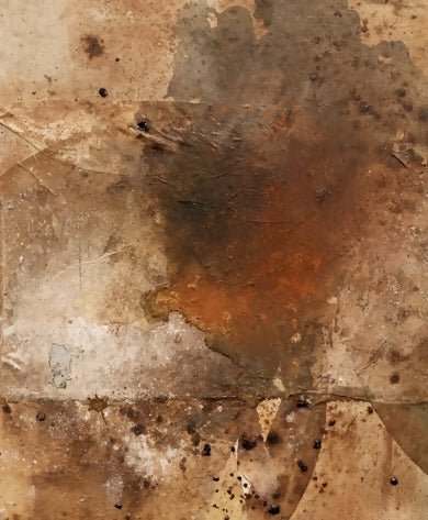 Every morning a new arrival