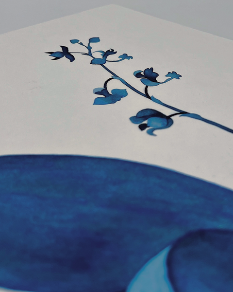 Rudolfiella aurantiaca, 2024