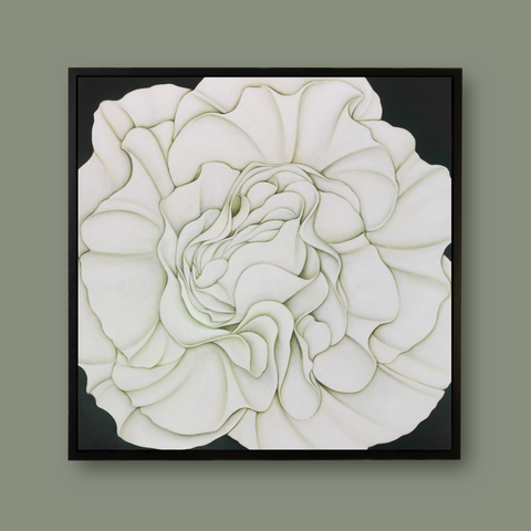 White Begonia on a Vancouver Balcony (on Vert de Gris)