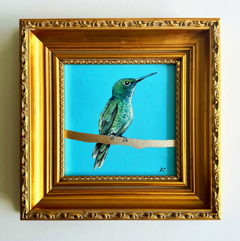 Hummingbird White Chest