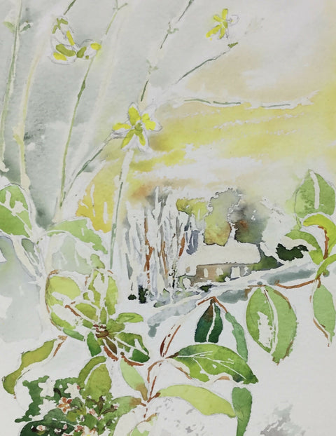 Winter - Winter Jasmine