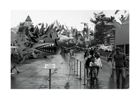 IMG_1253-Verbessert-Bearbeitet