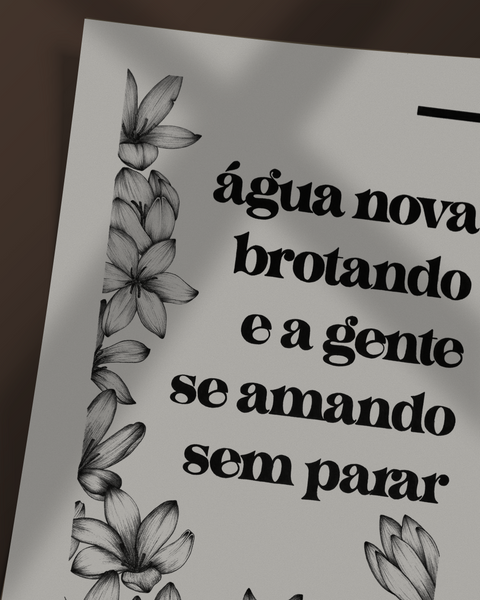 Zephyranthes candida (White Rain Lily)