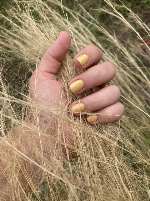 Screenshot 2025-08-21 at 12.29.43