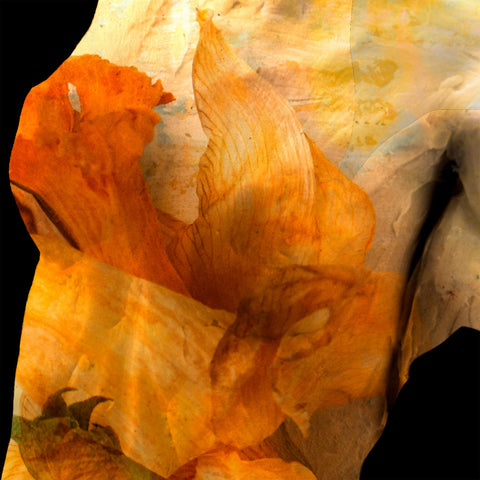 The Healing Gardens #03