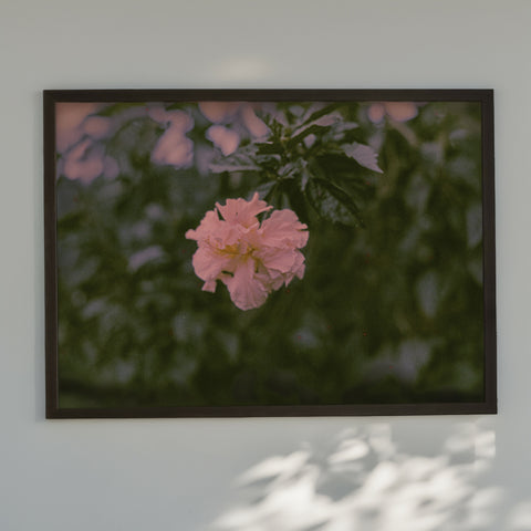 Finca Flower