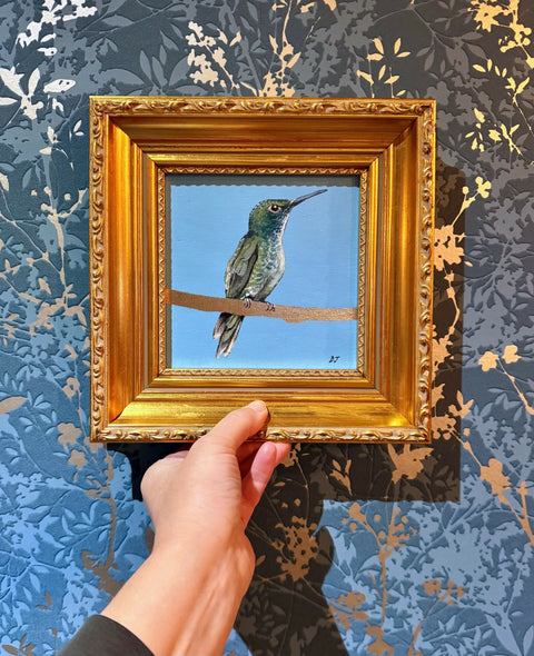 Hummingbird White Chest