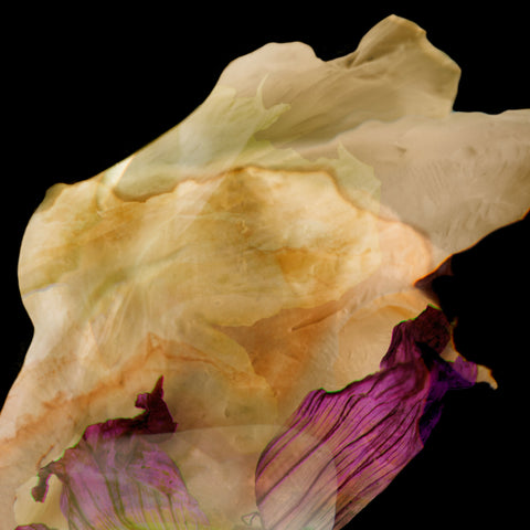 The Healing Gardens #02