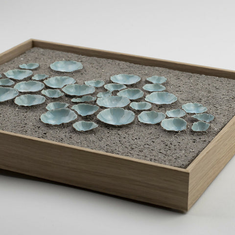 Terra Cognita. Salt Flats.