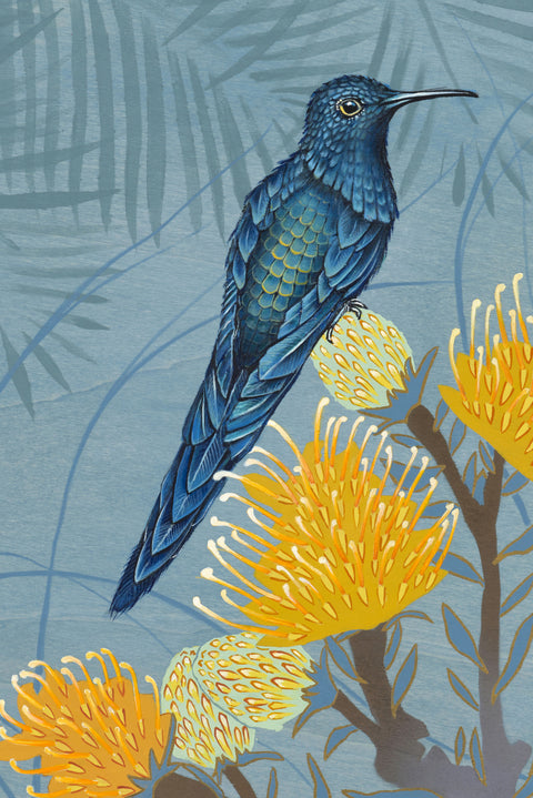 The Bird of Bahia cropped 2