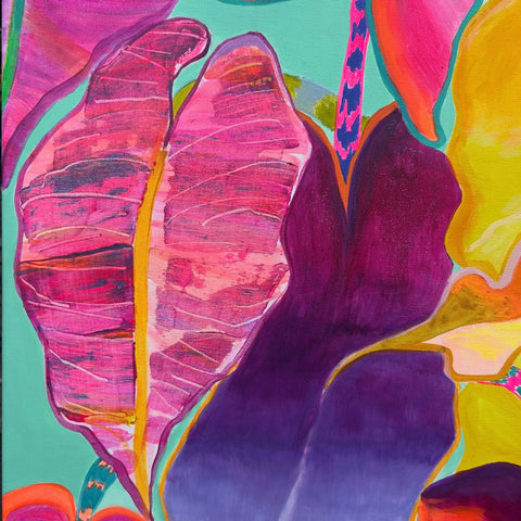 Rainbow Alocasias