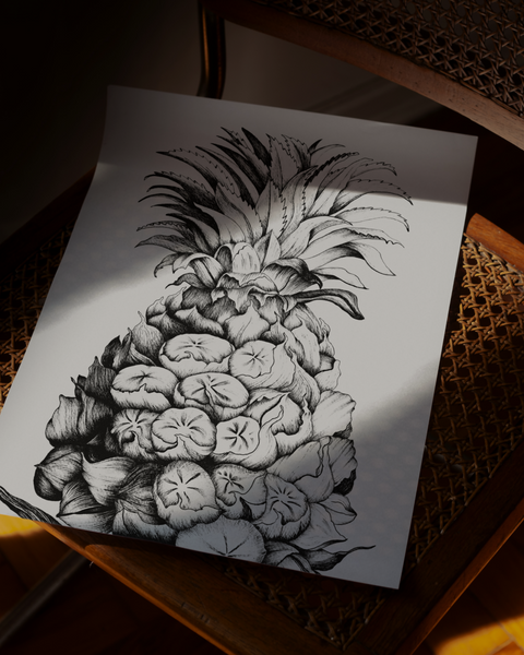 Ananas comosus (Pineapple)