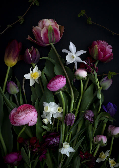 With Narcissus
