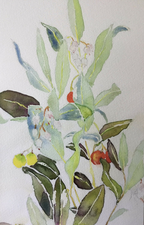 Autumn - The Strawberry Tree