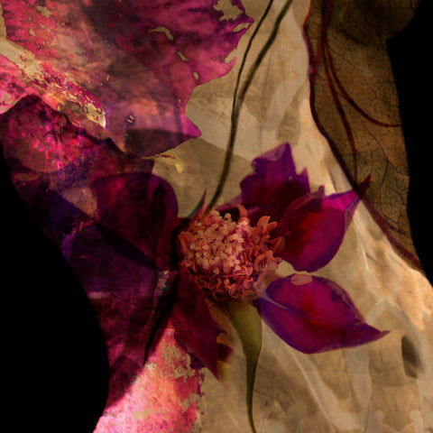 The Healing Gardens #01