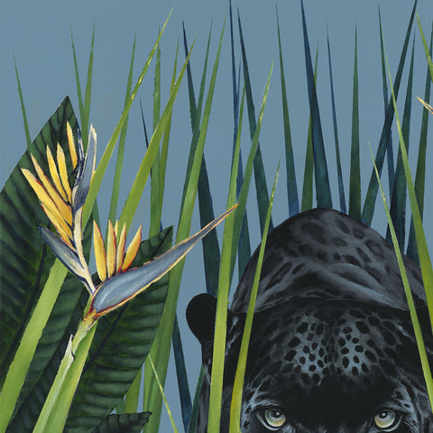 The Birds of Paradise Limited Edition