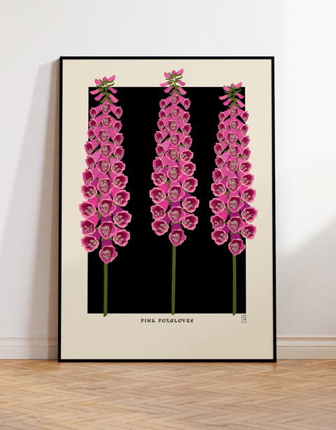 Pink Foxgloves