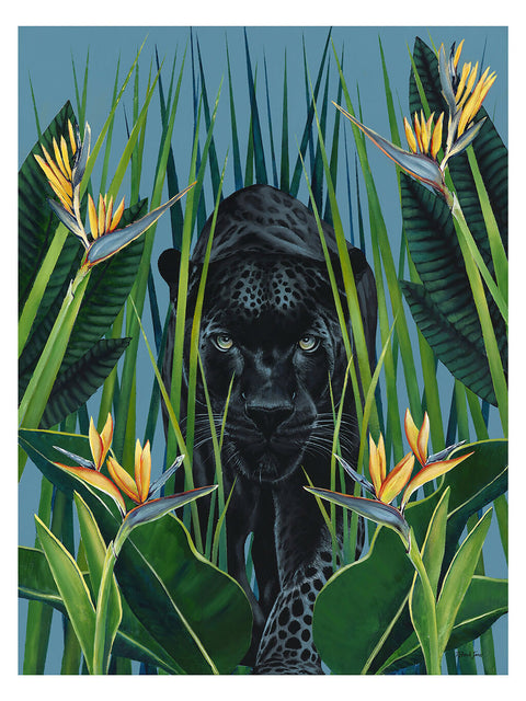 The Birds of Paradise Limited Edition