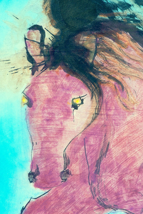 Wild horse