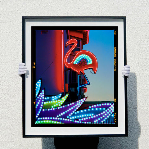 Neon Flamingo, Norfolk