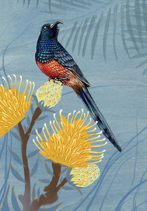 The Call of Coacoara cropped 2