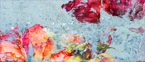 Detail of red and orange roses against a light blue background in an impressionistic style - floral wall art by wendy farrow