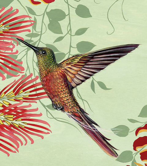 The flight of Salvador crop low res