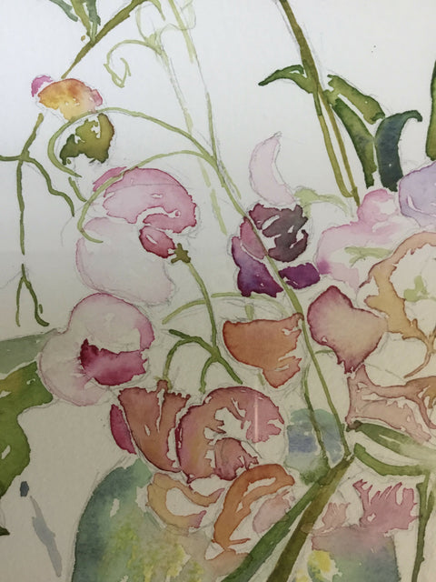 Summer - Sweetpea ‘Tickled Pink’