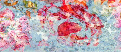 Detail of red and orange roses against a light blue background in an impressionistic style - floral wall art by wendy farrow