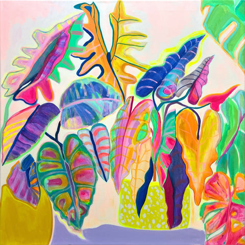 Alocasia Revelation