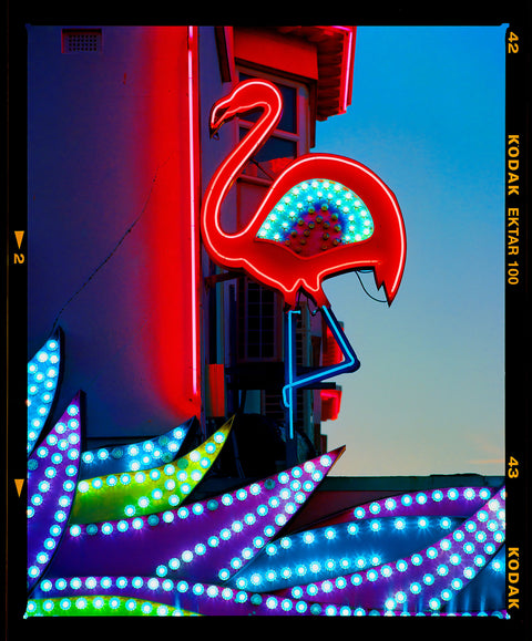 Neon Flamingo, Norfolk