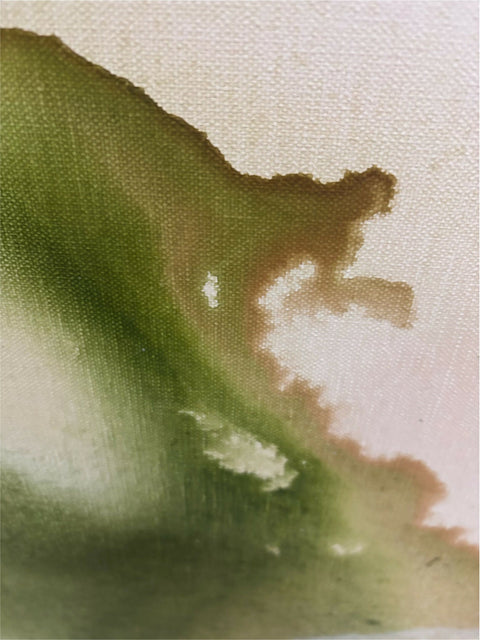 QUIET BLOOM IX