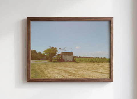 Cognac shop with vines
