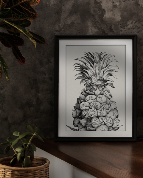 Ananas comosus (Pineapple)