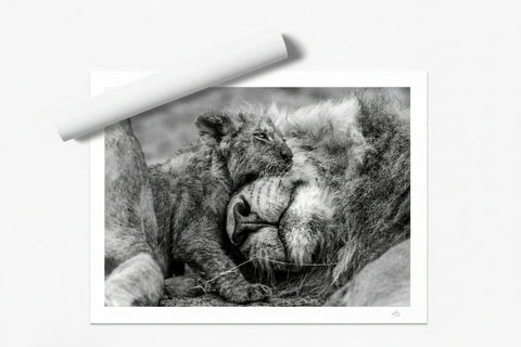A Safe Place
