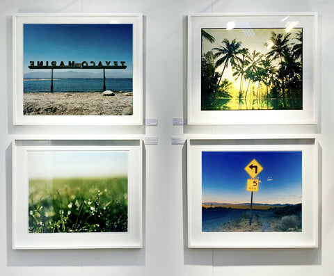 Vetyver Pool, Poovar, Kerala, 2013